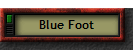 Blue Foot